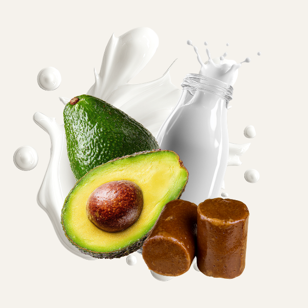 MS02. Avocado Gula Melaka