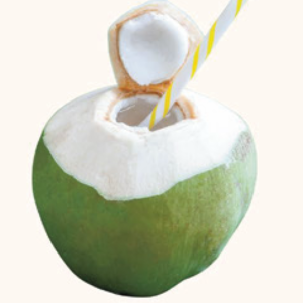 J16. Fresh Coconut(Pandan)